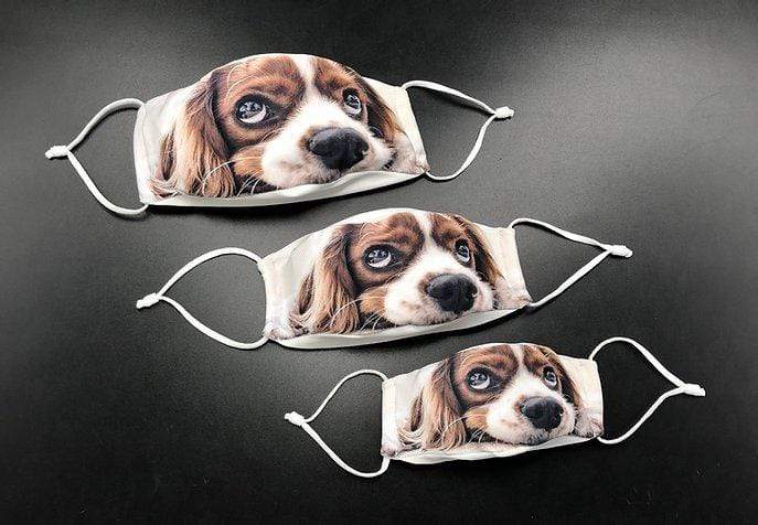 Small MD+ 3D Mask with Disposable Filters by Inksoc