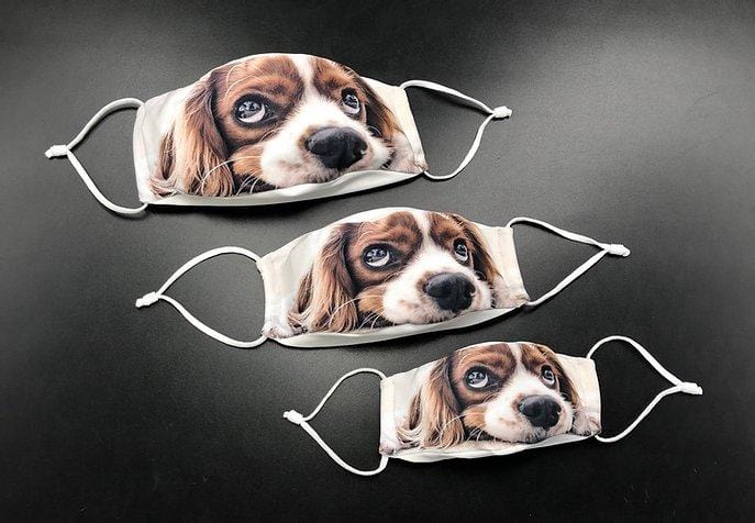 Large MD+ 3D Mask with Disposable Filters by Inksoc
