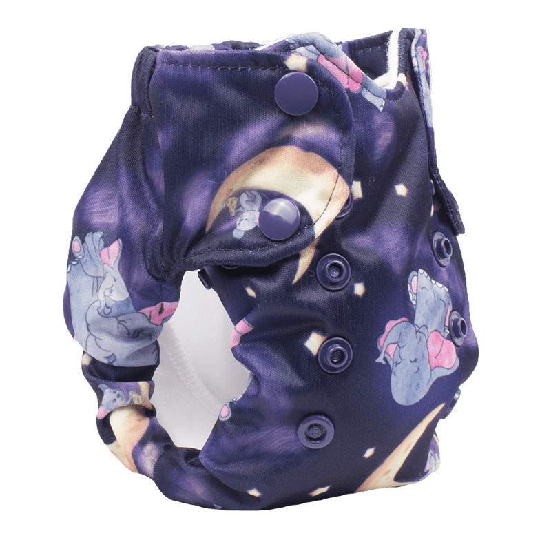 Smart Bottoms Born Smart 2.0 - Newborn All In One