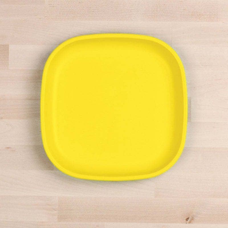 RePlay 9” Adult Plate