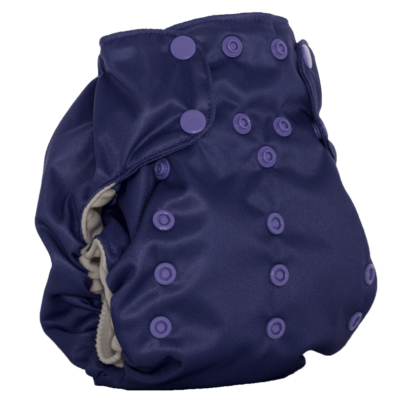 Smart Bottoms Smart One 3.1 - One Size All In One