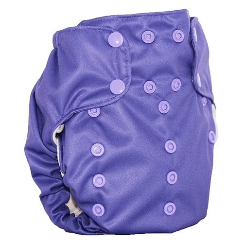 Smart Bottoms Smart One 3.1 - One Size All In One