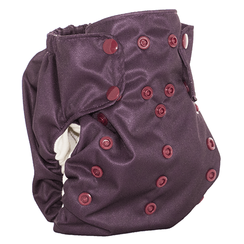 Smart Bottoms Smart One 3.1 - One Size All In One
