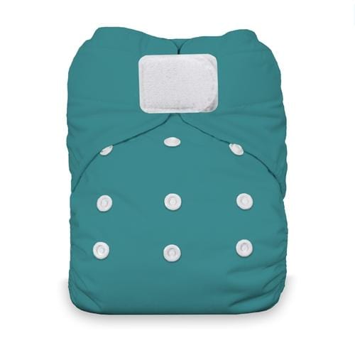 Thirsties Natural All In One - One Size