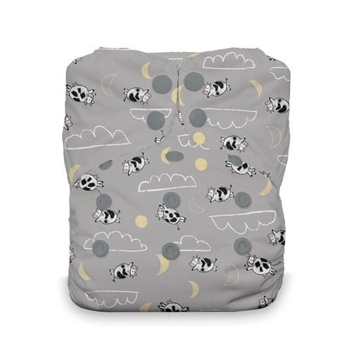 Thirsties Natural All In One - One Size