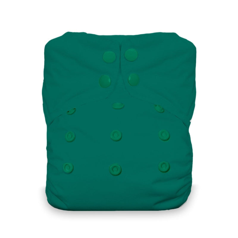 Thirsties Natural All In One - One Size