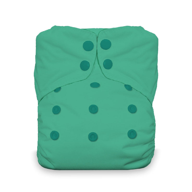 Thirsties Stay Dry Natural All In One - One Size