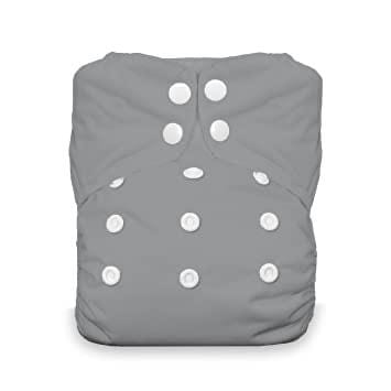 Thirsties Stay Dry Natural All In One - One Size