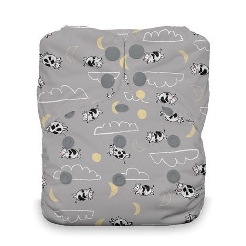 Thirsties All In One - One Size
