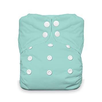 Thirsties Natural All In One - One Size