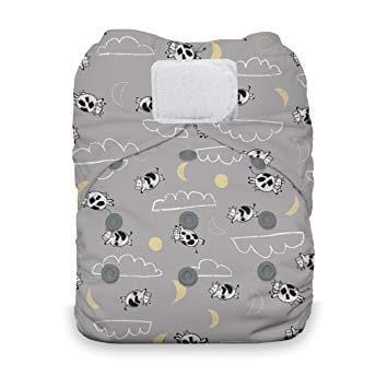 Thirsties Natural All In One - One Size