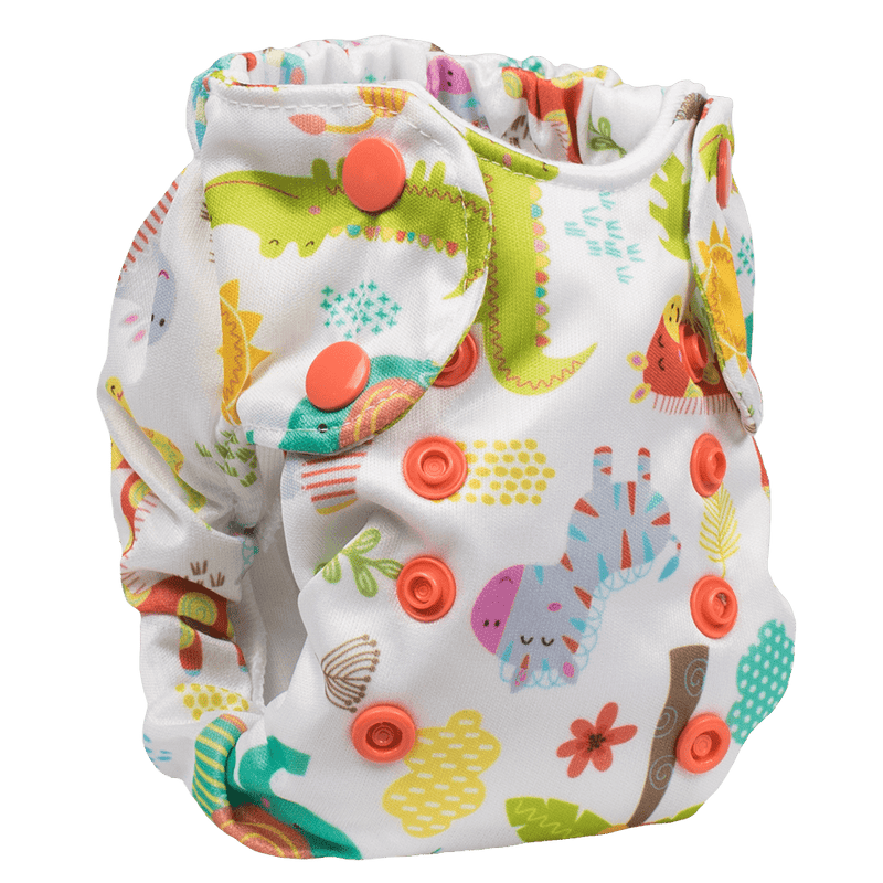 Smart Bottoms Born Smart 2.0 - Newborn All In One