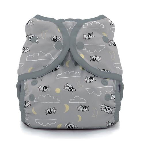 Thirsties Duo Wrap Cover Size 2