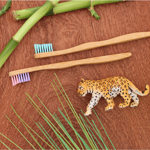 The Future is Bamboo  - Kids Bamboo Toothbrush Singles